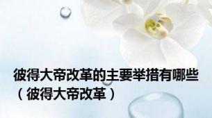 彼得大帝改革的主要举措有哪些（彼得大帝改革）