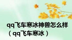 qq飞车寒冰神兽怎么样（qq飞车寒冰）