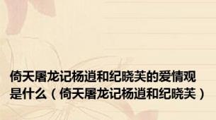 倚天屠龙记杨逍和纪晓芙的爱情观是什么（倚天屠龙记杨逍和纪晓芙）