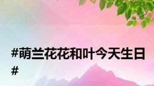 #萌兰花花和叶今天生日#