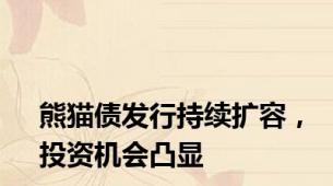 熊猫债发行持续扩容，投资机会凸显