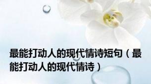 最能打动人的现代情诗短句（最能打动人的现代情诗）