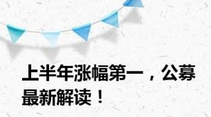 上半年涨幅第一，公募最新解读！