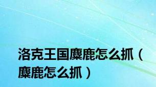 洛克王国麋鹿怎么抓（麋鹿怎么抓）