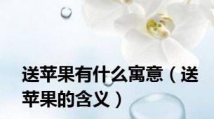 送苹果有什么寓意（送苹果的含义）