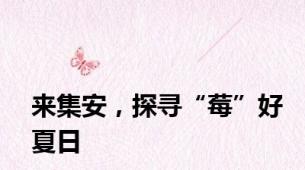 来集安，探寻“莓”好夏日