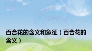 百合花的含义和象征（百合花的含义）