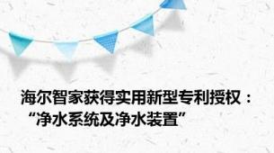 海尔智家获得实用新型专利授权：“净水系统及净水装置”