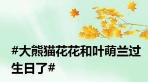 #大熊猫花花和叶萌兰过生日了#