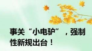 事关“小电驴”，强制性新规出台！