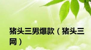 猪头三男爆款（猪头三网）