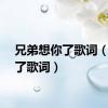 兄弟想你了歌词（想你了歌词）