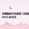 沙钢股份今日涨停 三机构净买入4155.46万元