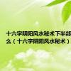 十六字阴阳风水秘术下半部写的什么（十六字阴阳风水秘术）
