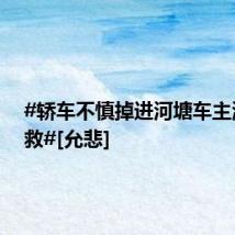 #轿车不慎掉进河塘车主淡定自救#[允悲]