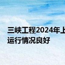 三峡工程2024年上半年运行情况良好