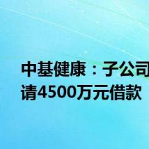 中基健康:子公司拟申请4500万元借款