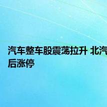 汽车整车股震荡拉升 北汽蓝谷午后涨停
