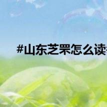 #山东芝罘怎么读#