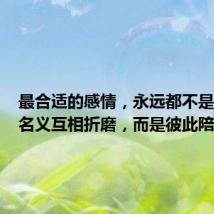 最合适的感情,永远都不是以爱的名义互相折磨,而是彼此陪伴……