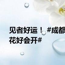见者好运！ #成都的荷花好会开#