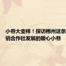 小巷大变样!探访郴州这条记载供销合作社发展的暖心小巷