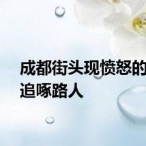 成都街头现愤怒的小鸟追啄路人
