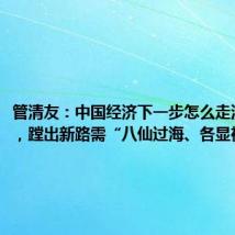 管清友:中国经济下一步怎么走没人教你,蹚出新路需“八仙过海、各显神通”