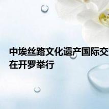 中埃丝路文化遗产国际交流活动在开罗举行