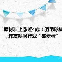 原材料上涨近4成！羽毛球集体涨价，球友呼唤行业“破壁者”
