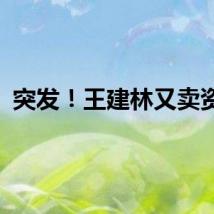 突发！王建林又卖资产