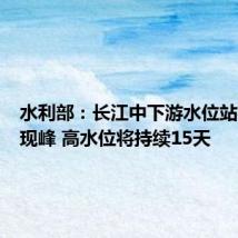 水利部:长江中下游水位站将相继现峰 高水位将持续15天