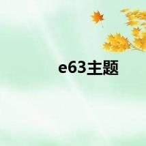 e63主题