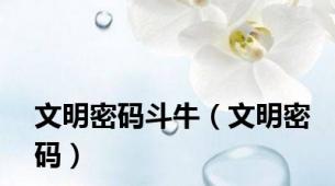 文明密码斗牛（文明密码）