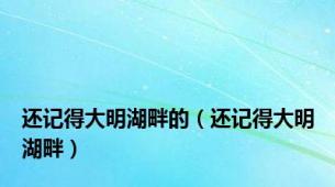 还记得大明湖畔的（还记得大明湖畔）
