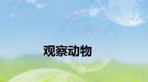 观察动物