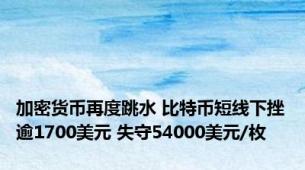 加密货币再度跳水 比特币短线下挫逾1700美元 失守54000美元/枚