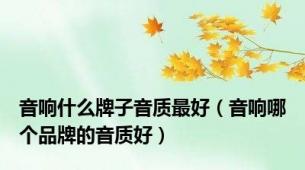 音响什么牌子音质最好（音响哪个品牌的音质好）