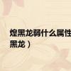 煌黑龙弱什么属性（煌黑龙）