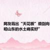 网友栽出“天花板”级别向日葵 “咱山东的水土确实好”