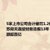 5家上市公司合计被罚1.2亿元，江苏舜天连续财务造假13年，涉案金额超百亿