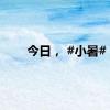 今日， #小暑#