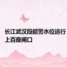 长江武汉段超警水位运行 已封堵上百座闸口