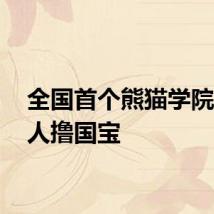 全国首个熊猫学院招50人撸国宝