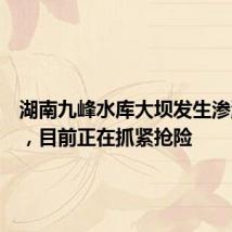 湖南九峰水库大坝发生渗漏险情,目前正在抓紧抢险