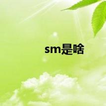 sm是啥