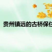 贵州镇远的古桥保住了