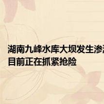 湖南九峰水库大坝发生渗漏险情 目前正在抓紧抢险