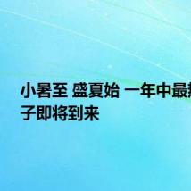 小暑至 盛夏始 一年中最热的日子即将到来