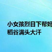小女孩烈日下帮妈妈割稻谷满头大汗